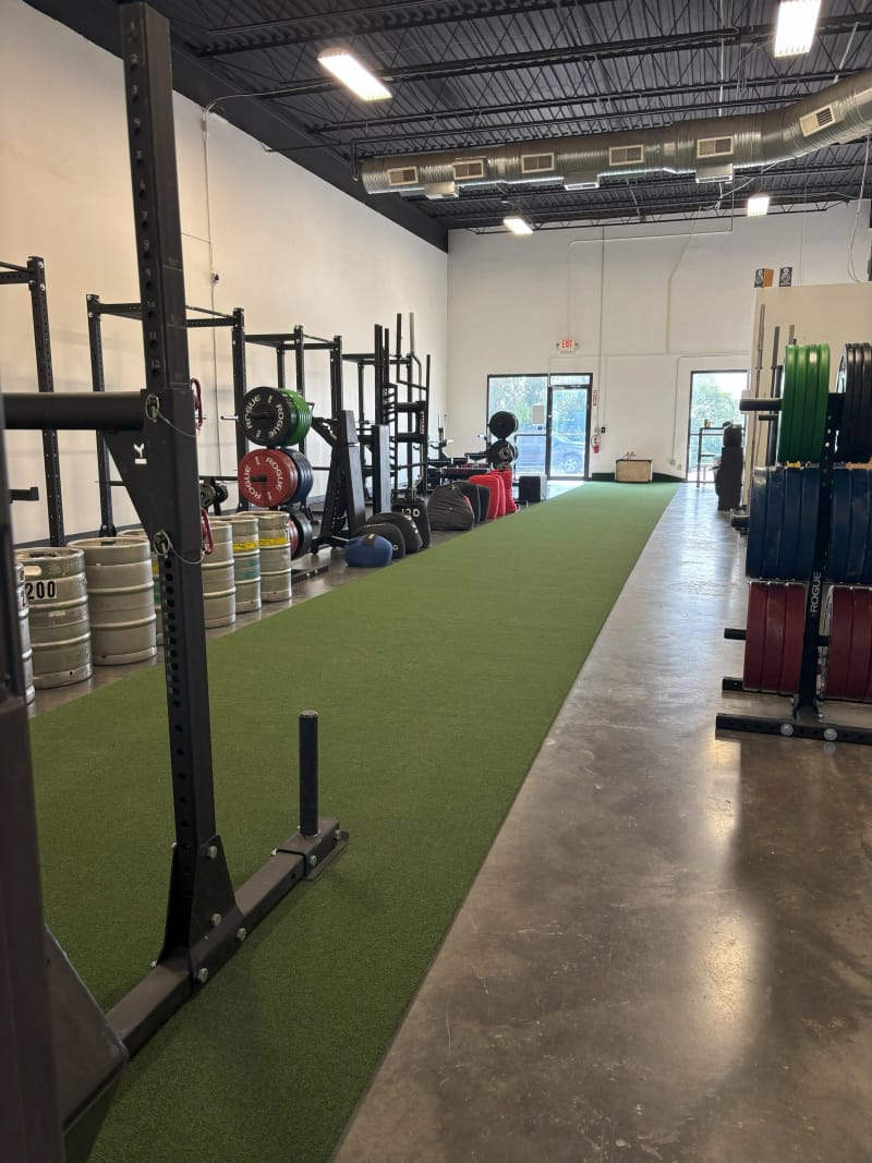 Full strength training gym view from the back showing all equipment stations