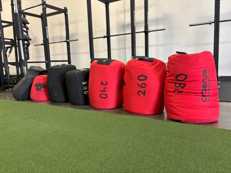 Sandbags lined up for strongman training